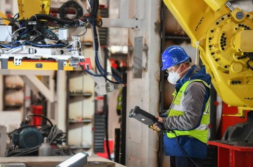 ?？飘厴I生的職業流向 數據揭示主流去向，過來人分享真實體會